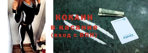 ECSTASY Богданович