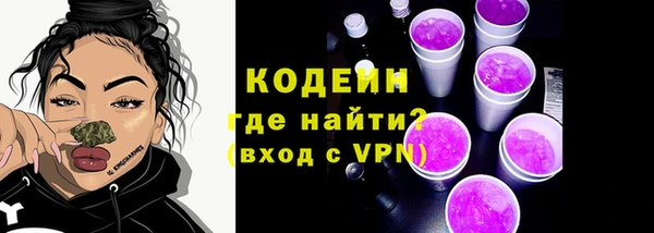 ECSTASY Богданович