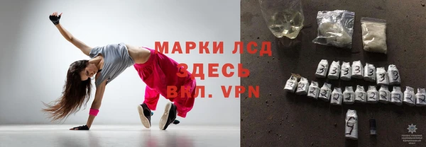 ECSTASY Богданович