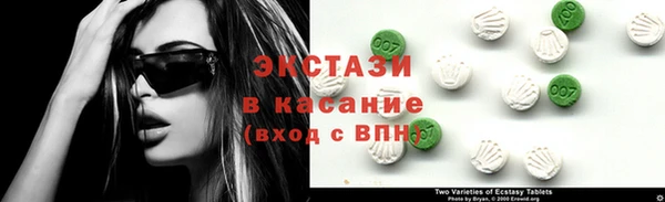 ECSTASY Богданович