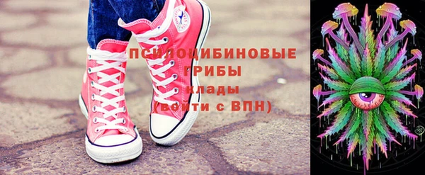 ECSTASY Богданович