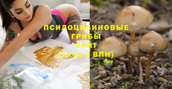 марки lsd Богородск
