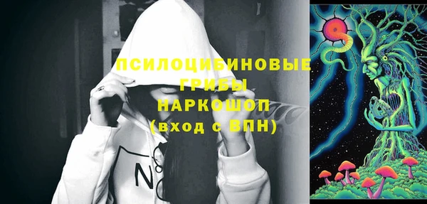 ECSTASY Богданович