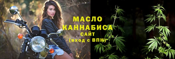 ECSTASY Богданович
