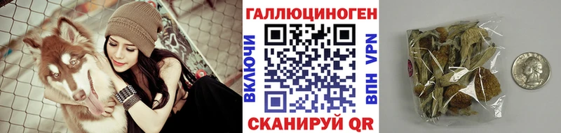 магазин наркотиков Ейск Псилоцибиновые грибы прущие грибы